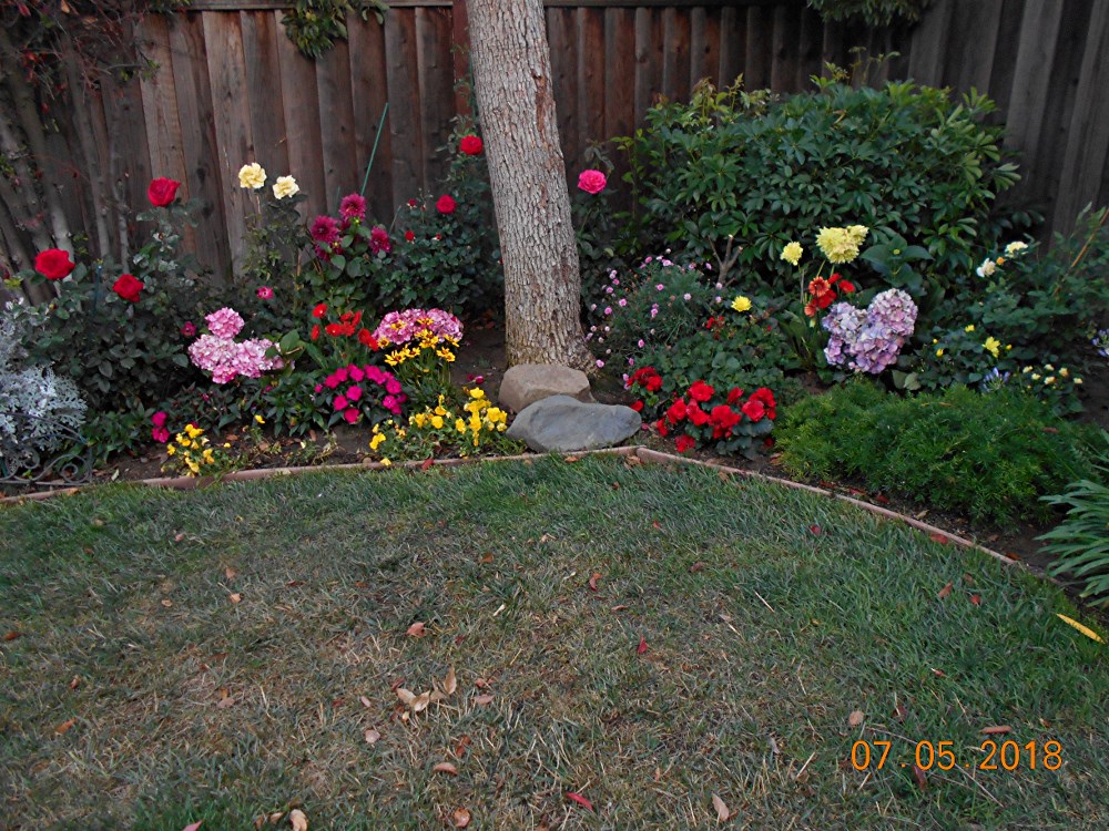 Flower Garden